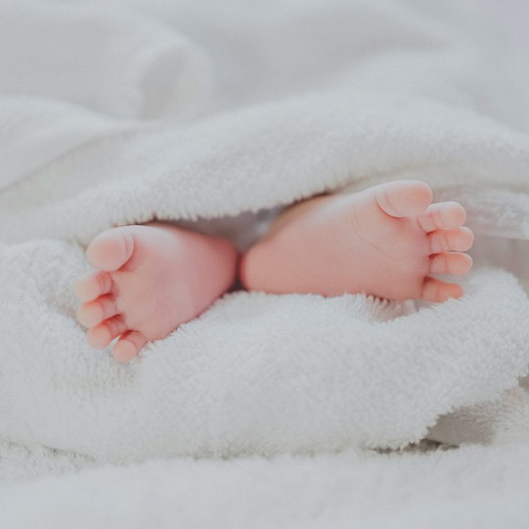 Kinderwunschberatung am Niederrhein Eine einzelne Margerite blüht aus rissigem, trockenem Boden.